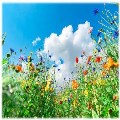 The Summer Holidays are here!